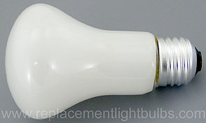 100K19/DL 100W 120V Director Lamp, Philips Kandolite Mushroom