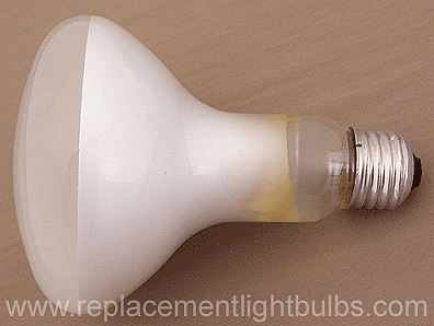 R30 Bulb