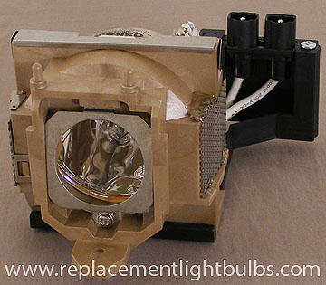 BENQ PB8253 5J.J2G01.001 Replacement Lamp Assembly
