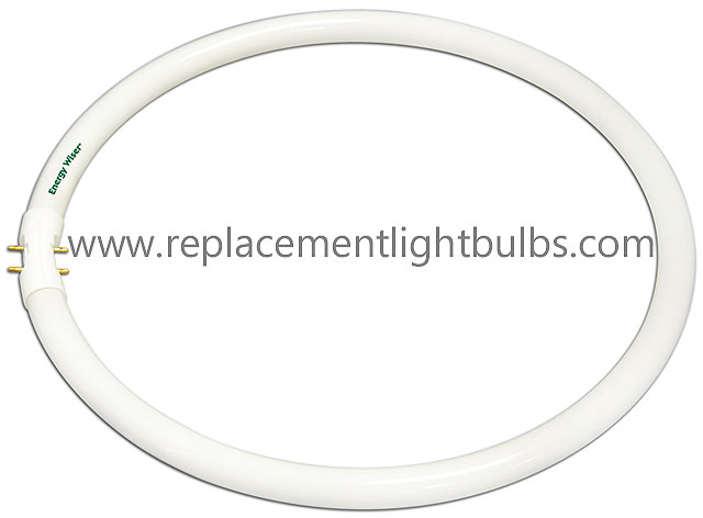 FC12T5/841 40W 12" T4 4100K Cool White Circular Fluorescent Lamp