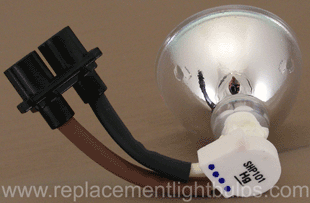 SHP101 lamp bulb