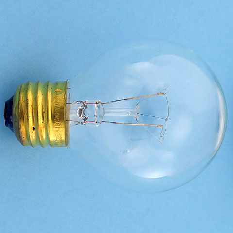 Westinghouse 40G19.5 40W 120V G19.5 Clear Globe Glass E26 Light Bulb