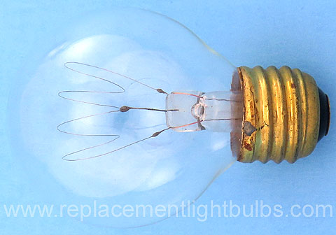 60A19/CF 110V 60W Carbon Filament Light Bulb